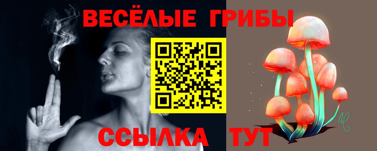 Псилоцибиновые грибы ЛСД  Вход с VPN  Псилоцибиновые грибы мицелий  Славянск-на-Кубани 